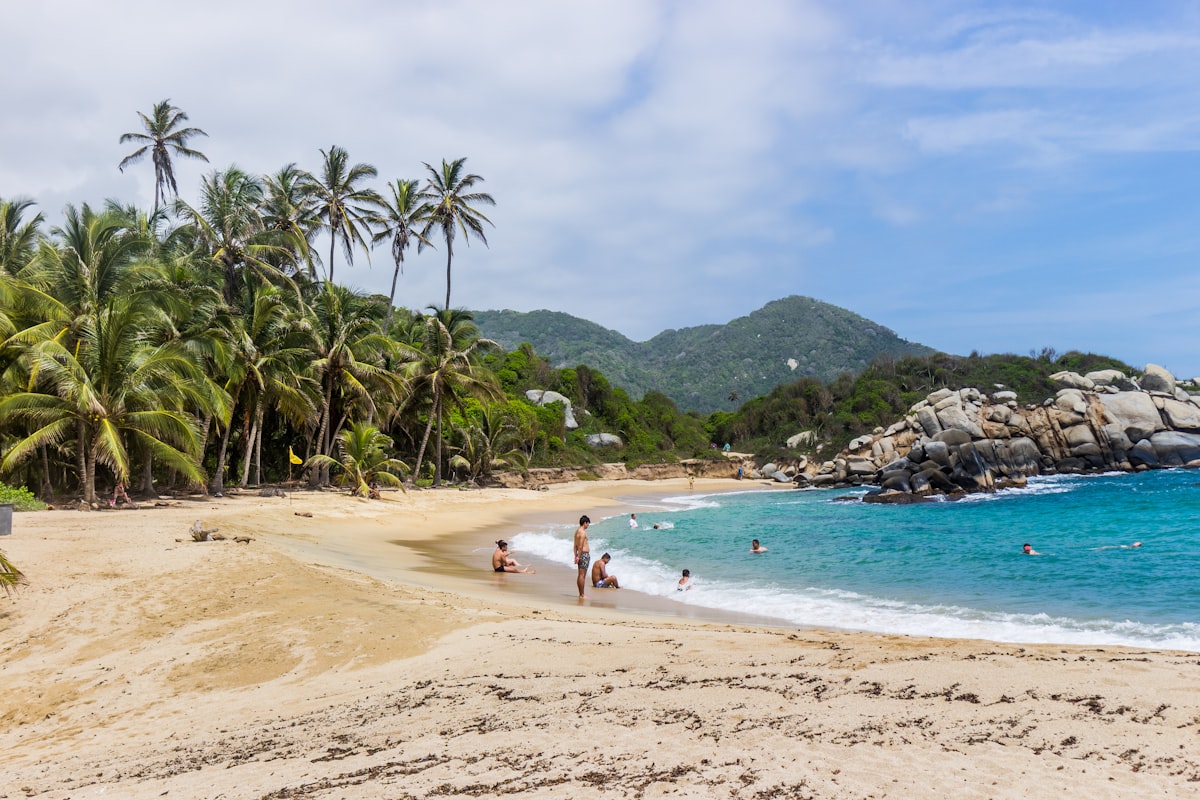 Atrévete a algo nuevo - Playa del Tayrona con palmeras
